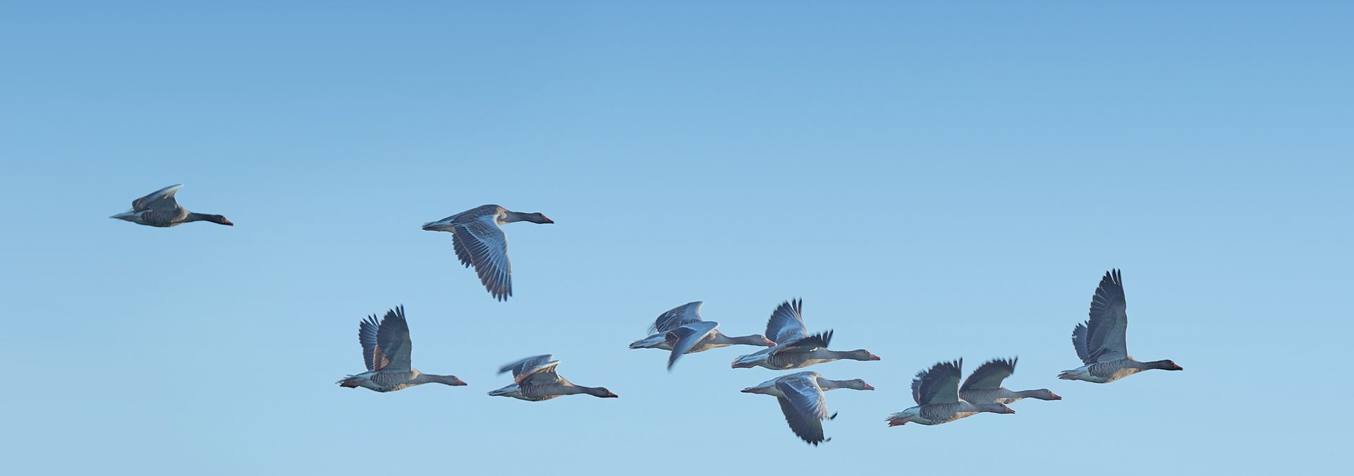 Hero_Onze merken.jpg